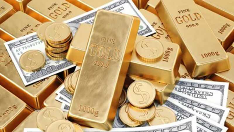 Флорида упраздняет налог на продажу золота и серебра и вводит их в обращение