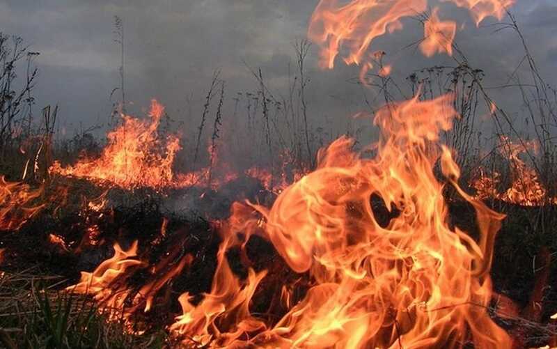 Житель Бурятии коптил сало и чуть не сжёг деревню