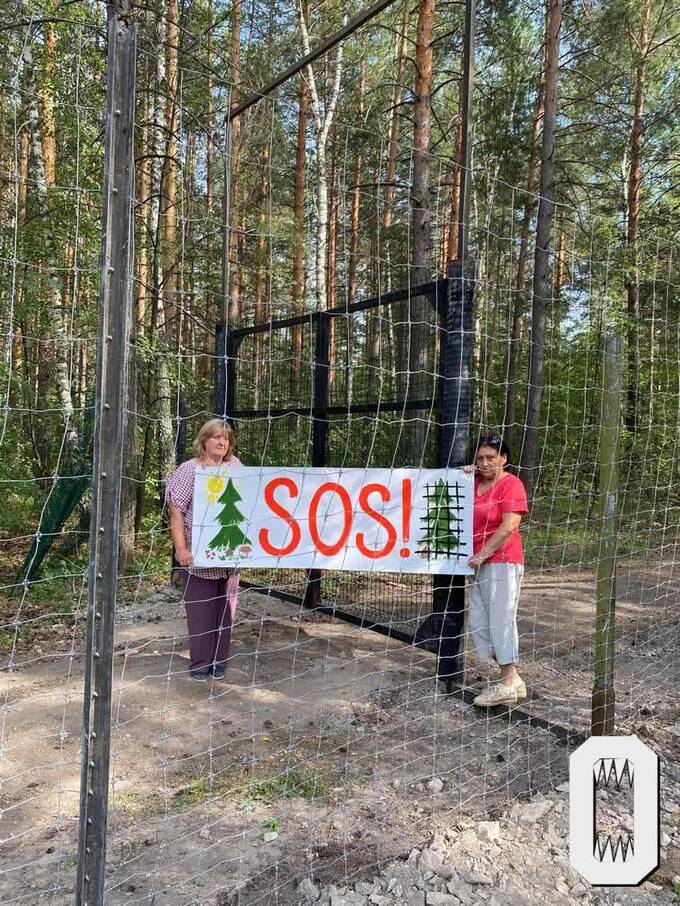Жители Ульяновской области протестуют против ограждения леса и водоёма