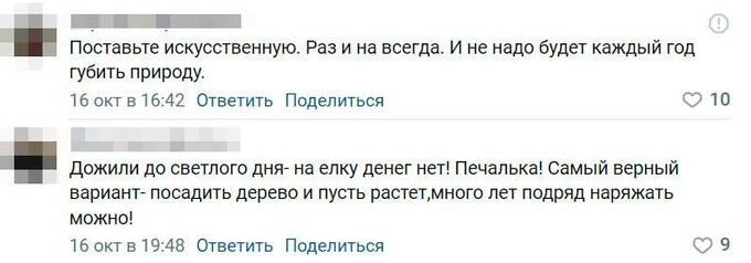Мэр Юрьев-Польского Трофимов экономит на новогодней елке