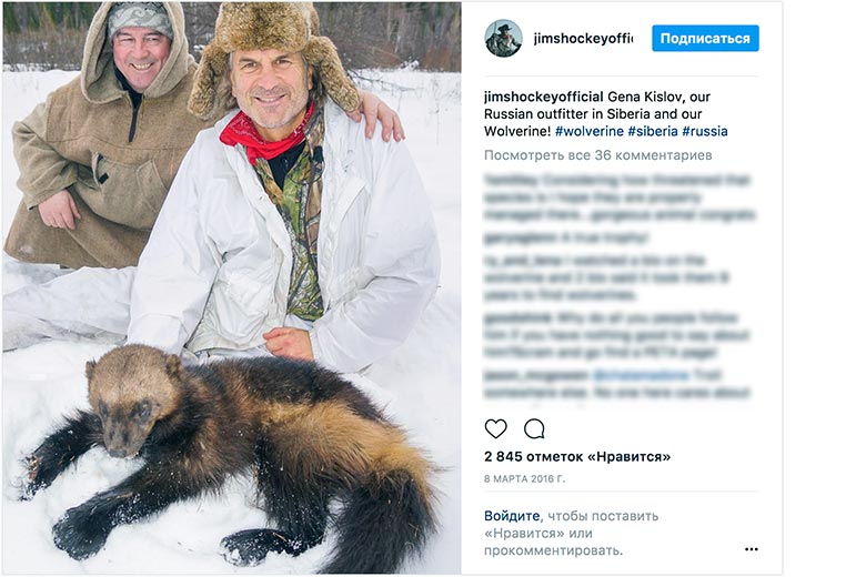 Джим Шокей в сопровождении Геннадия Кислова Джим Шокей в сопровождении Геннадия Кислова